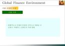글로벌 금융환경 13페이지