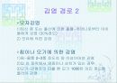 에이즈(AIDS) 13페이지