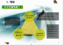 [마케팅 전략] 한국형 마케팅 법칙 8282 6페이지