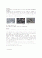 습지에 대해 4페이지