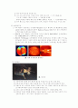 [인공 위성]에 대하여 5페이지