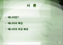 특정 제품에 있어서 매니아의 역할 3페이지