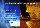 특정 제품에 있어서 매니아의 역할 22페이지