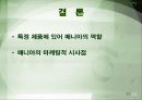 특정 제품에 있어서 매니아의 역할 23페이지