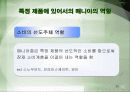 특정 제품에 있어서 매니아의 역할 25페이지