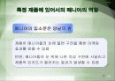 특정 제품에 있어서 매니아의 역할 27페이지