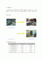 암석역학실험 4페이지