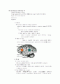 신경계 해부생리 9페이지