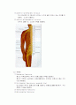 신경계 해부생리 17페이지