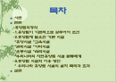 휴향림을 만들때 고려사항 2페이지