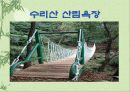 휴향림을 만들때 고려사항 9페이지