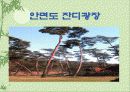 휴향림을 만들때 고려사항 11페이지