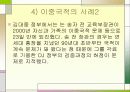 이중국적 허용에 대한 부작용 5페이지
