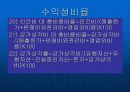 각종 재무비율 분석과 특1급 3개호텔 재무비율 분석 19페이지