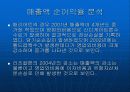 각종 재무비율 분석과 특1급 3개호텔 재무비율 분석 30페이지