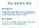 공공재와 지방재정 4페이지