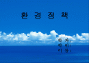 공해에 대한 환경 정책 1페이지