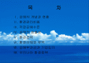 공해에 대한 환경 정책 2페이지