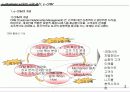 e-Business 시대의 고객 관리, e-CRM 3페이지