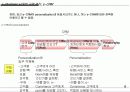 e-Business 시대의 고객 관리, e-CRM 7페이지