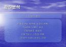 마케팅 전략 -빈폴 회사  예시를 사용  //발표자료// 사용 7페이지