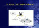 사이버범죄 26페이지