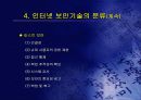 사이버범죄 33페이지