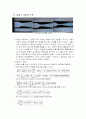유동가시화 8페이지