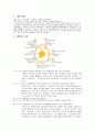 계란에 대한 정리 자료 2페이지