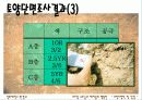 토양 단면조사 실습 보고서 6페이지