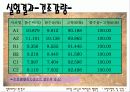 토양 단면조사 실습 보고서 11페이지