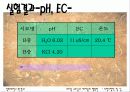 토양 단면조사 실습 보고서 14페이지