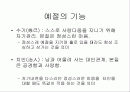 동서양의 예절의 차이 2페이지