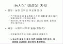 동서양의 예절의 차이 3페이지