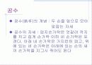 동서양의 인사예절 5페이지