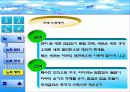 노화와 젊음 8페이지