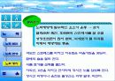 노화와 젊음 13페이지