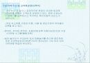 보육시설 운영사례 5페이지