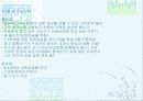 보육시설 운영사례 18페이지