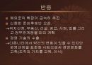 조직혁신 22페이지