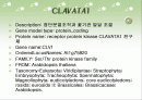 clavata1에 관하여 2페이지