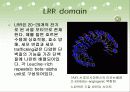 clavata1에 관하여 5페이지