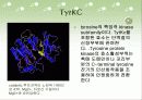 clavata1에 관하여 8페이지