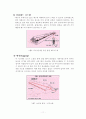 양계장 환기의 중요성 11페이지