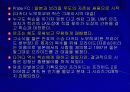 이종격투기의 경기분석과 흥행 요인 및 선수소개 12페이지
