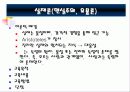 교육철학의 문제점과 기능 연구의  분석과 고찰 [발표자료] 12페이지