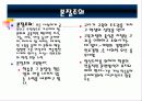 교육철학의 문제점과 기능 연구의  분석과 고찰 [발표자료] 17페이지