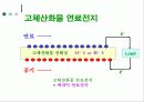 연료전지 24페이지