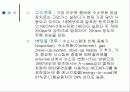 연료전지 30페이지