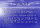데이터 통신. DMB에 관하여. 3페이지
